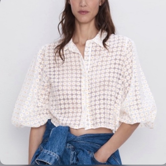Zara Tops - Zara sheer daisy print button down blouse